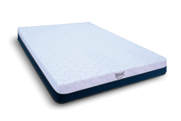 Dream Box Memory Foam